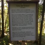 Fichte
