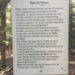 Wald und Mensch